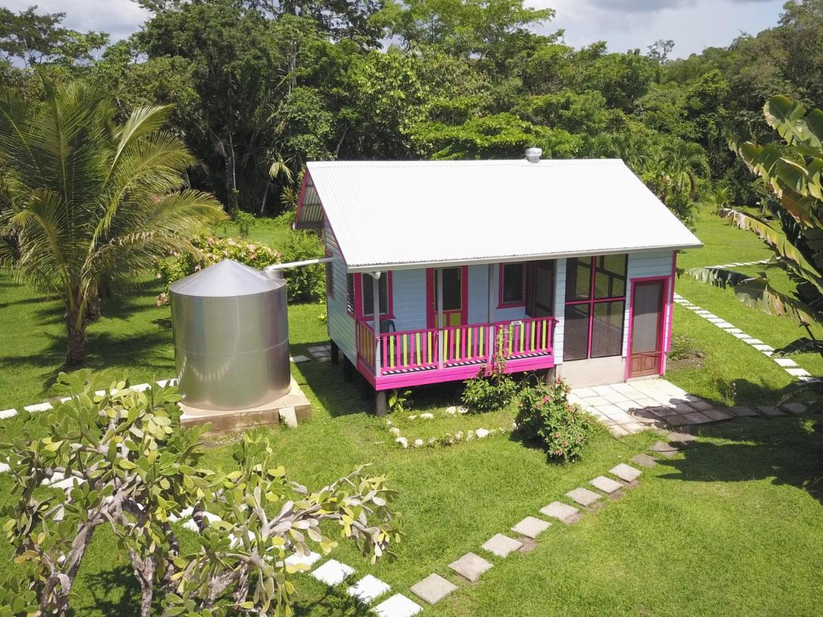 Lower Dover Jungle Lodge & Maya Ruins Unitedville المظهر الخارجي الصورة