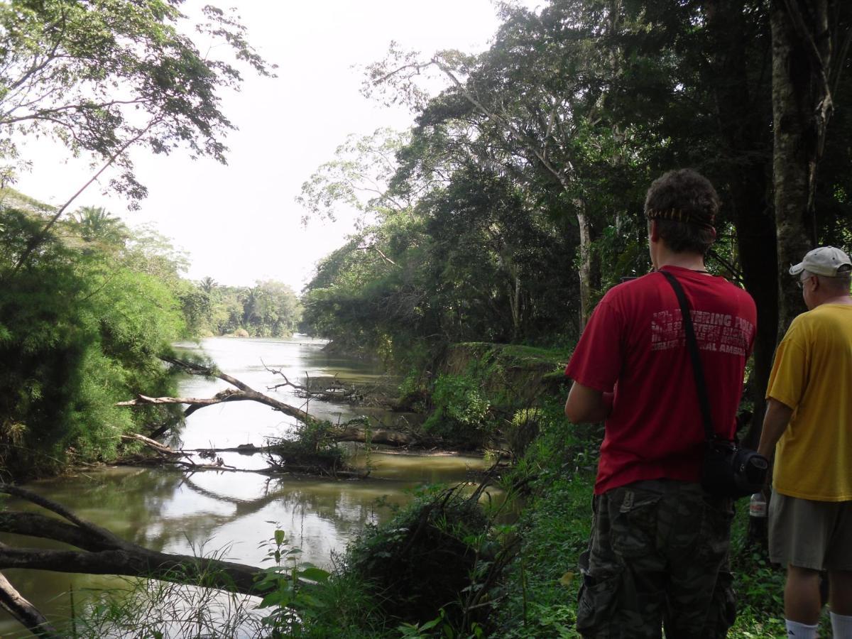 Lower Dover Jungle Lodge & Maya Ruins Unitedville المظهر الخارجي الصورة