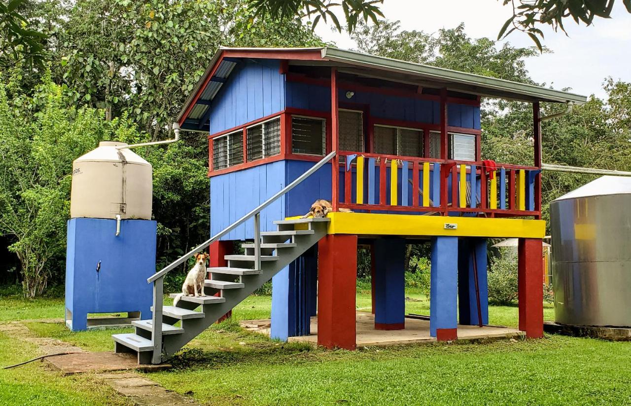 Lower Dover Jungle Lodge & Maya Ruins Unitedville المظهر الخارجي الصورة