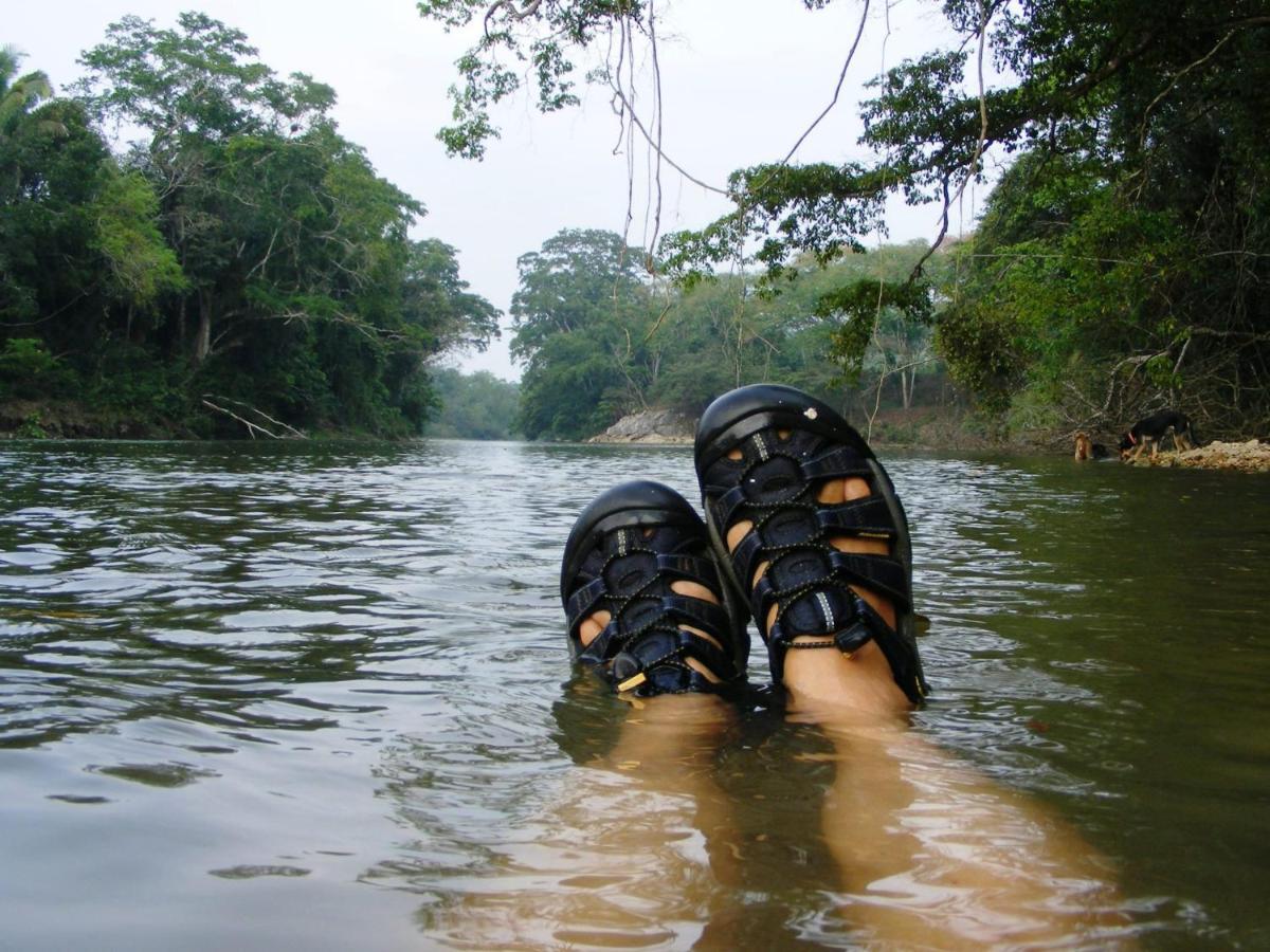 Lower Dover Jungle Lodge & Maya Ruins Unitedville المظهر الخارجي الصورة