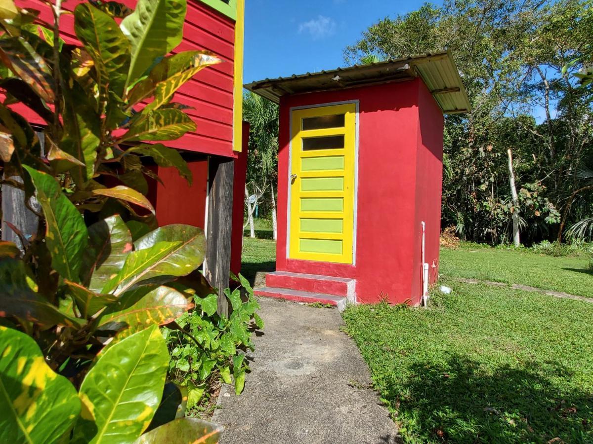 Lower Dover Jungle Lodge & Maya Ruins Unitedville المظهر الخارجي الصورة