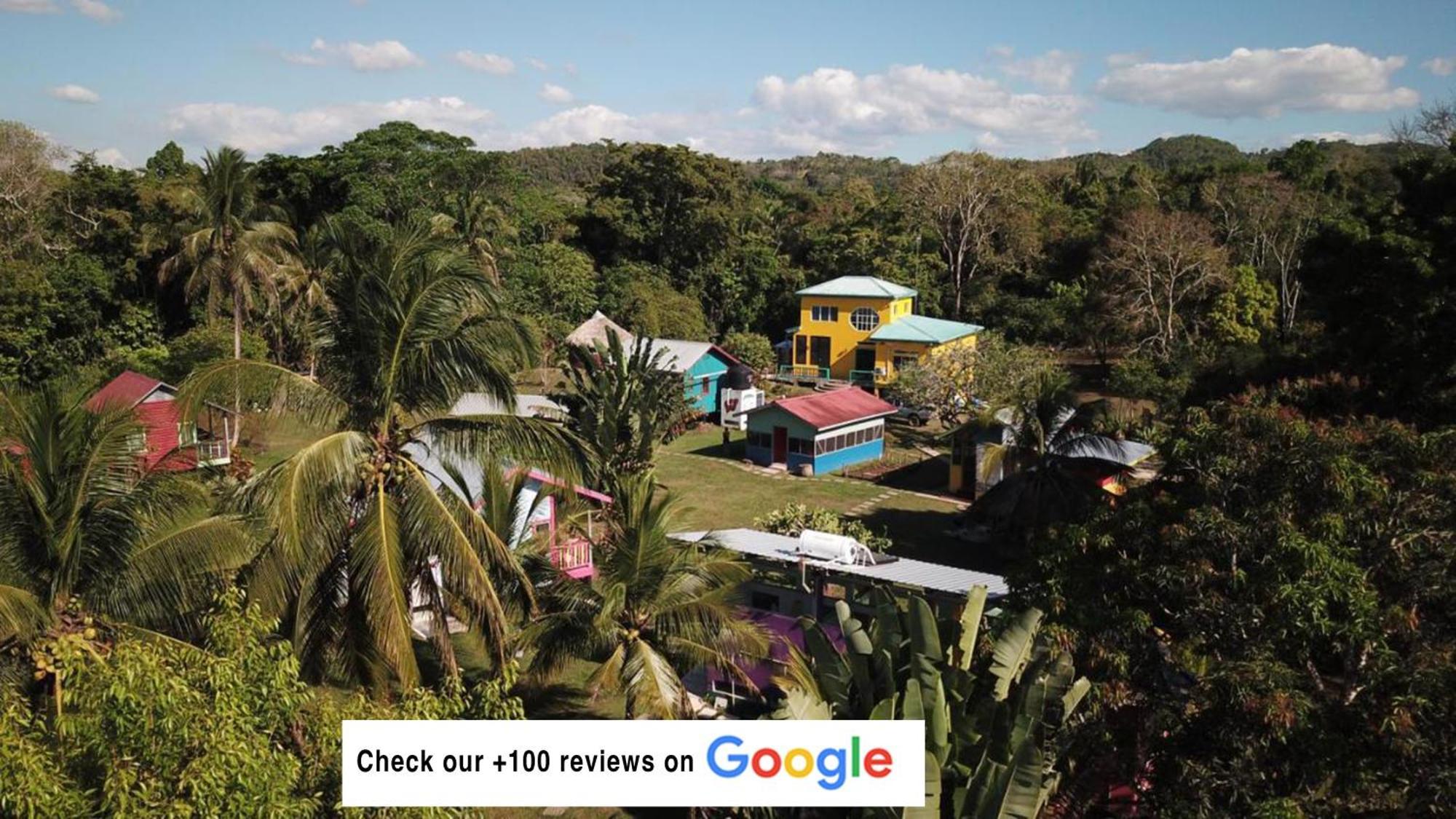 Lower Dover Jungle Lodge & Maya Ruins Unitedville المظهر الخارجي الصورة