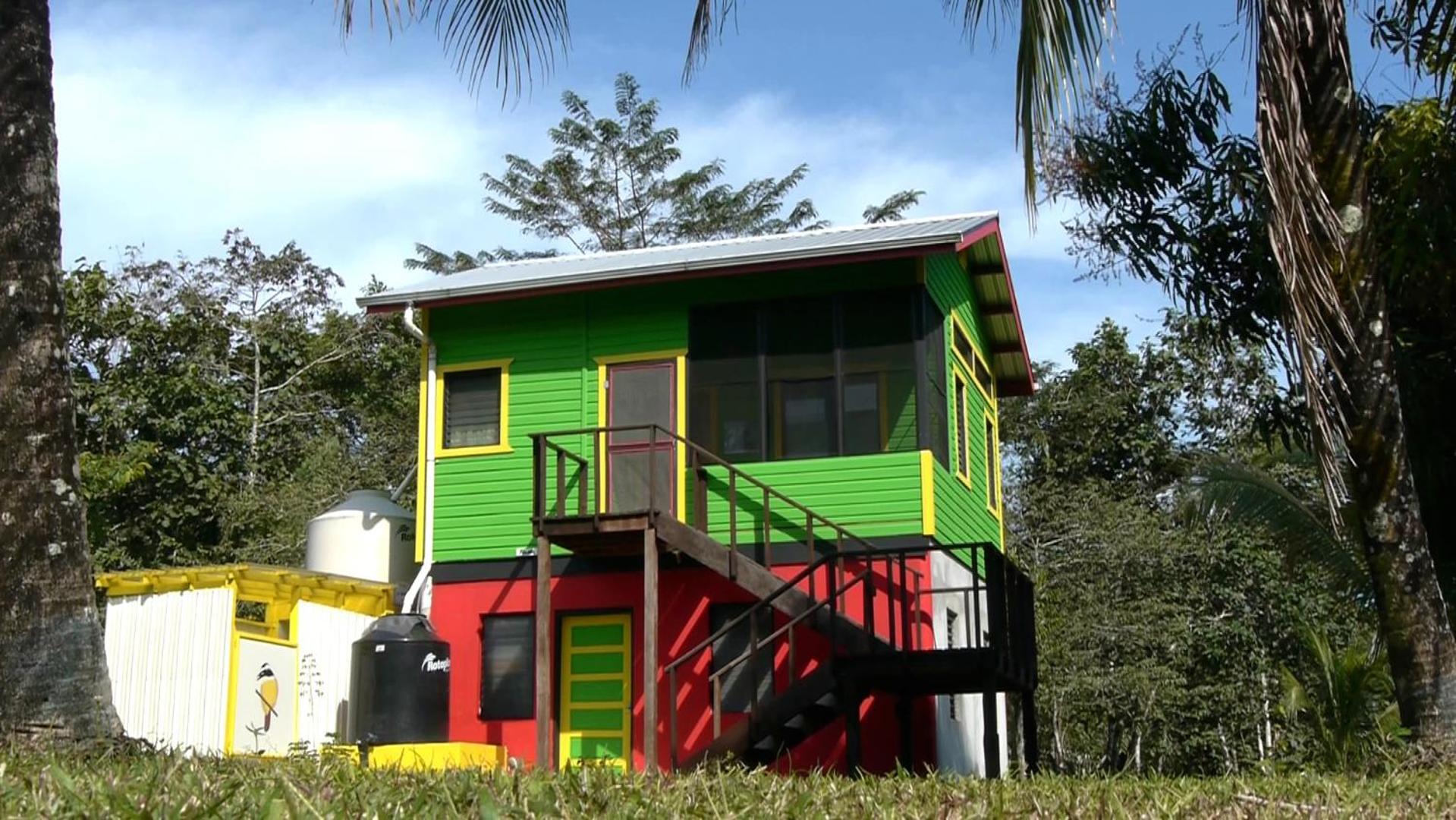 Lower Dover Jungle Lodge & Maya Ruins Unitedville الغرفة الصورة