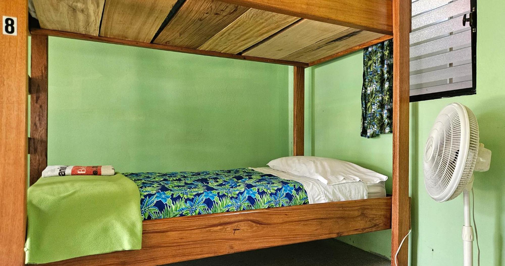 Lower Dover Jungle Lodge & Maya Ruins Unitedville الغرفة الصورة