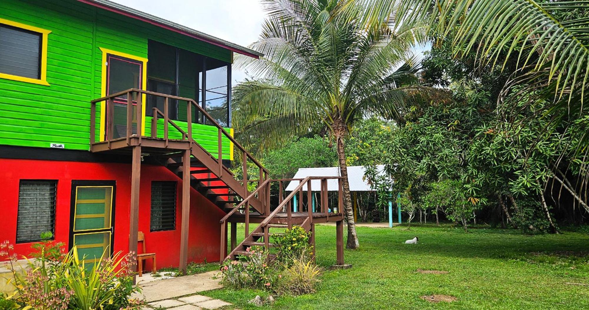 Lower Dover Jungle Lodge & Maya Ruins Unitedville الغرفة الصورة