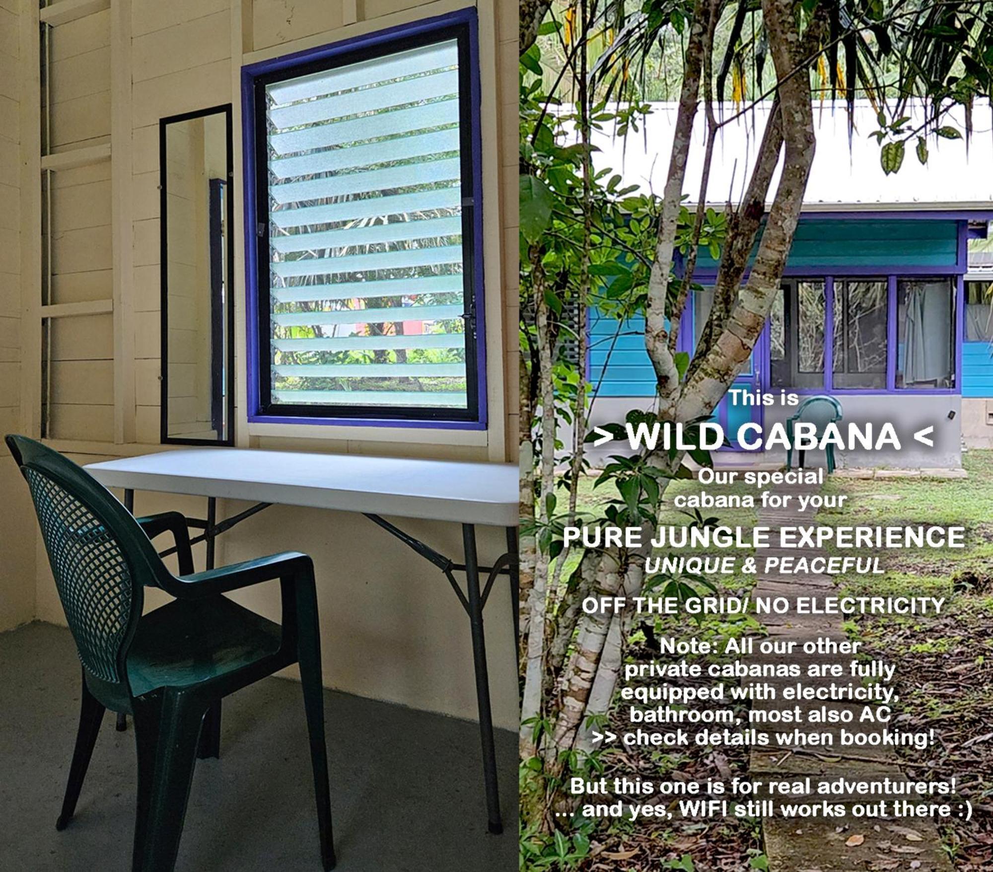 Lower Dover Jungle Lodge & Maya Ruins Unitedville الغرفة الصورة
