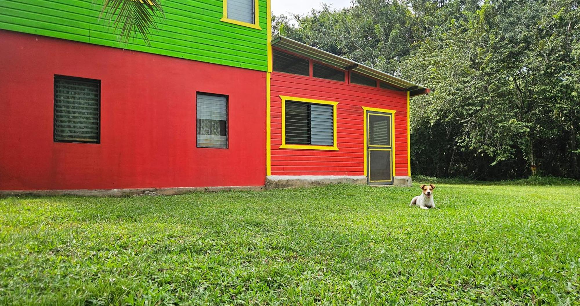 Lower Dover Jungle Lodge & Maya Ruins Unitedville الغرفة الصورة