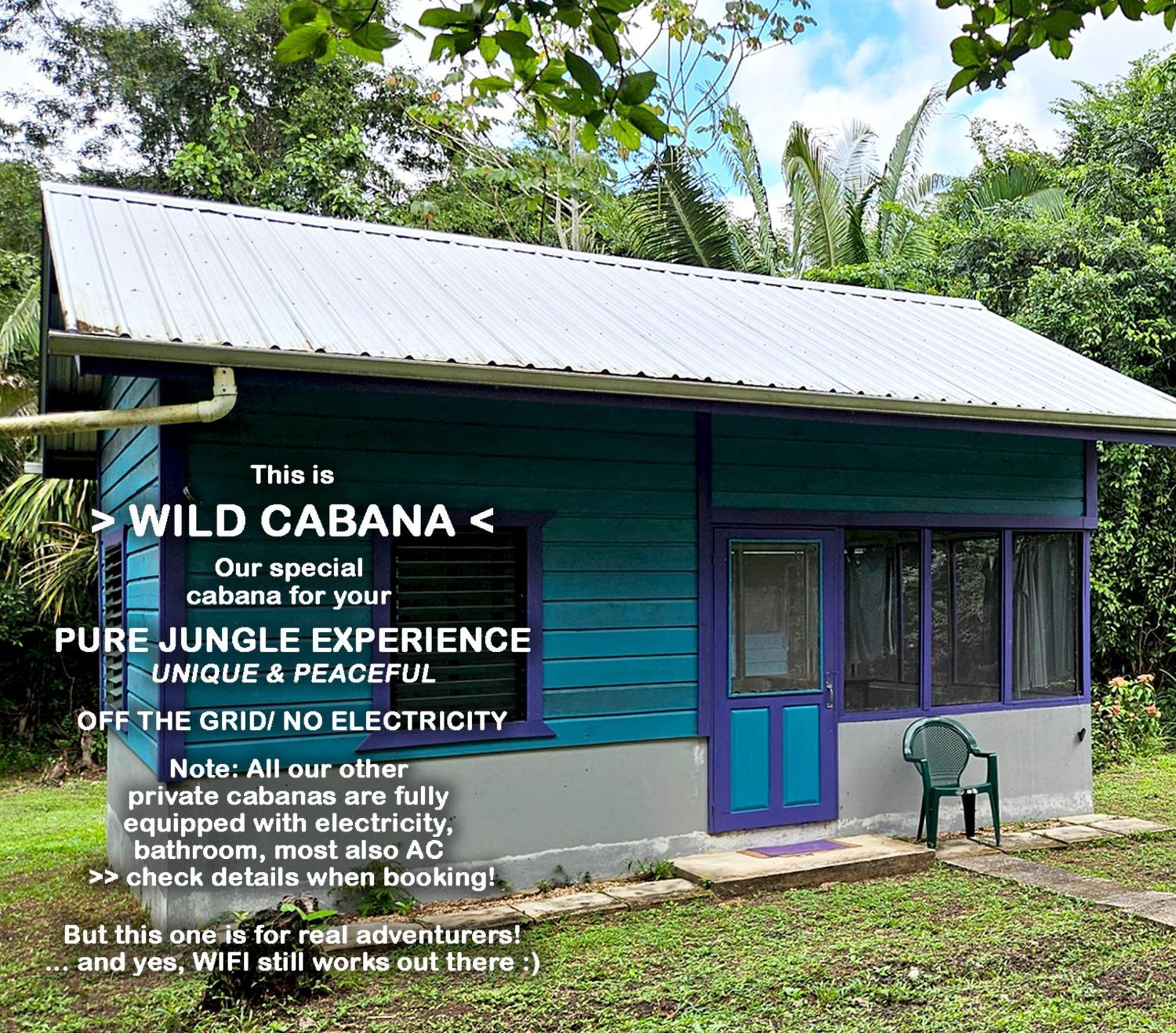 Lower Dover Jungle Lodge & Maya Ruins Unitedville الغرفة الصورة