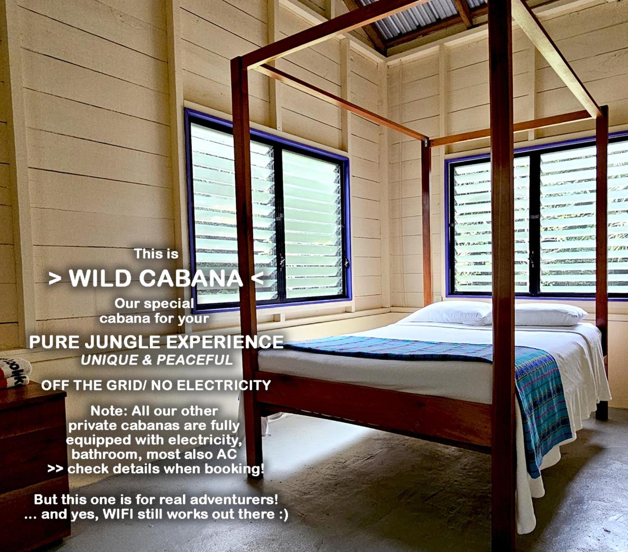 Lower Dover Jungle Lodge & Maya Ruins Unitedville الغرفة الصورة