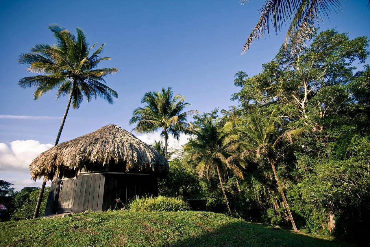 Lower Dover Jungle Lodge & Maya Ruins Unitedville المظهر الخارجي الصورة