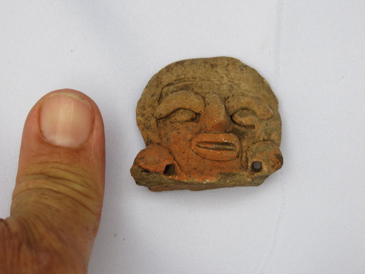 Lower Dover Jungle Lodge & Maya Ruins Unitedville المظهر الخارجي الصورة