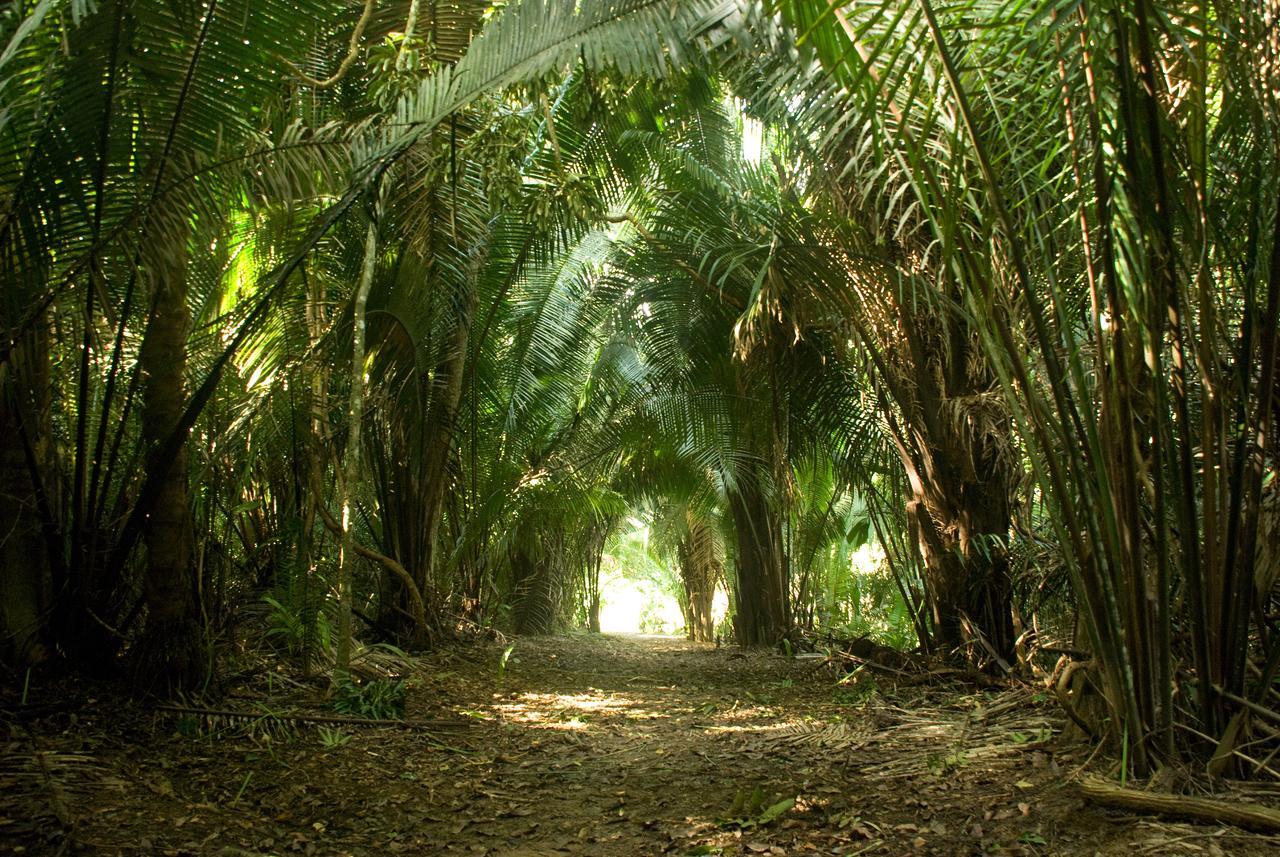 Lower Dover Jungle Lodge & Maya Ruins Unitedville المظهر الخارجي الصورة