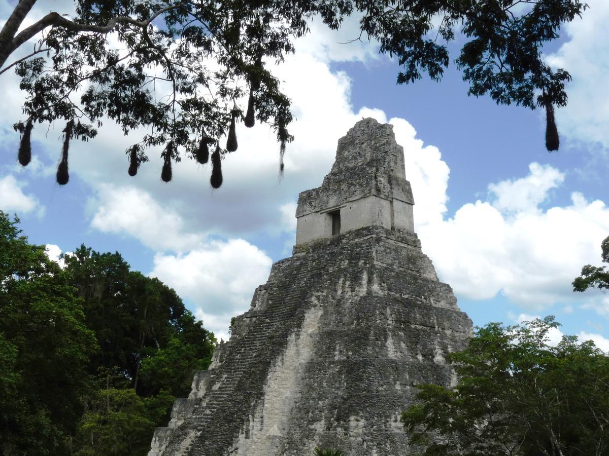Lower Dover Jungle Lodge & Maya Ruins Unitedville المظهر الخارجي الصورة
