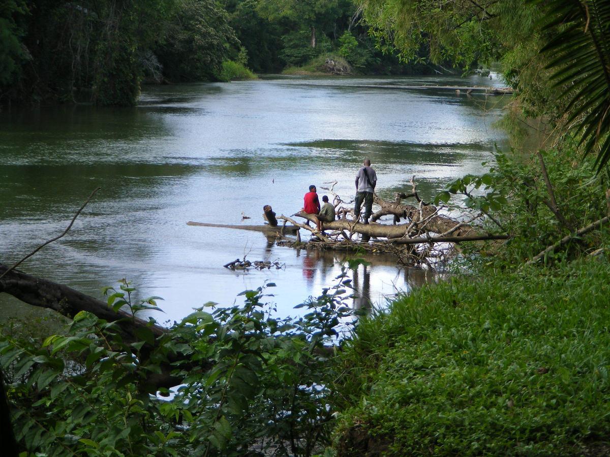 Lower Dover Jungle Lodge & Maya Ruins Unitedville المظهر الخارجي الصورة