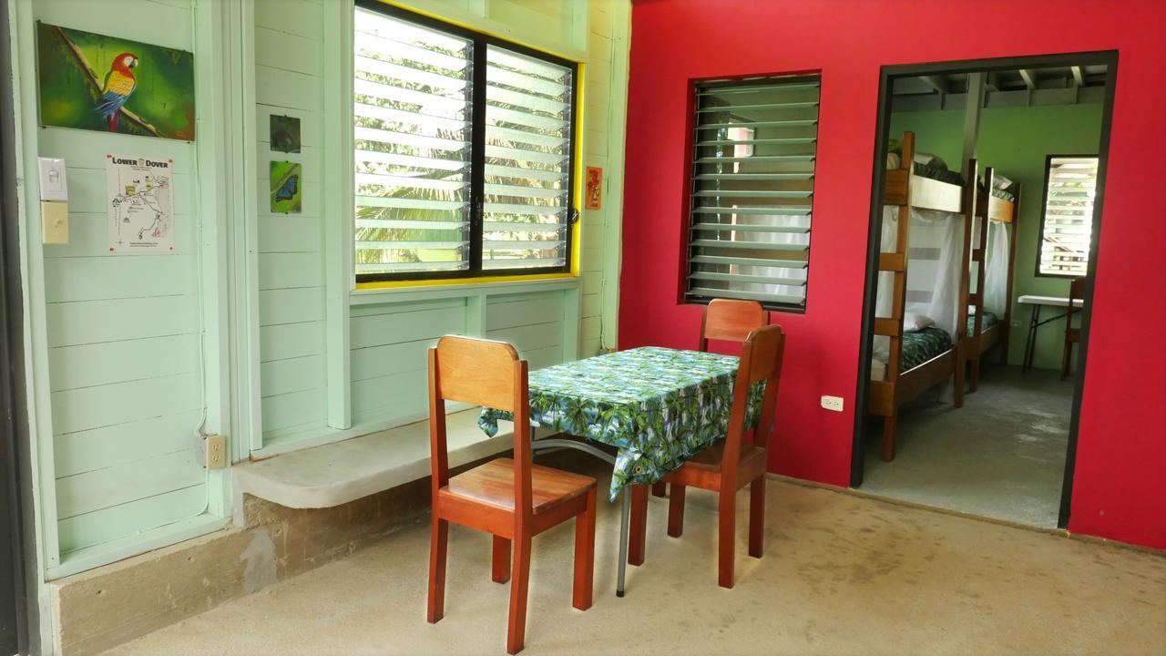 Lower Dover Jungle Lodge & Maya Ruins Unitedville المظهر الخارجي الصورة